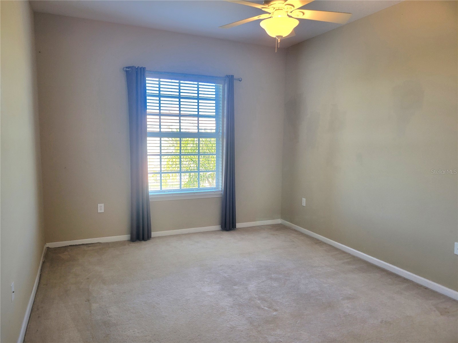 7905 N Seminole Boulevard #3404 Seminole FL 33772 TB8493002 image33