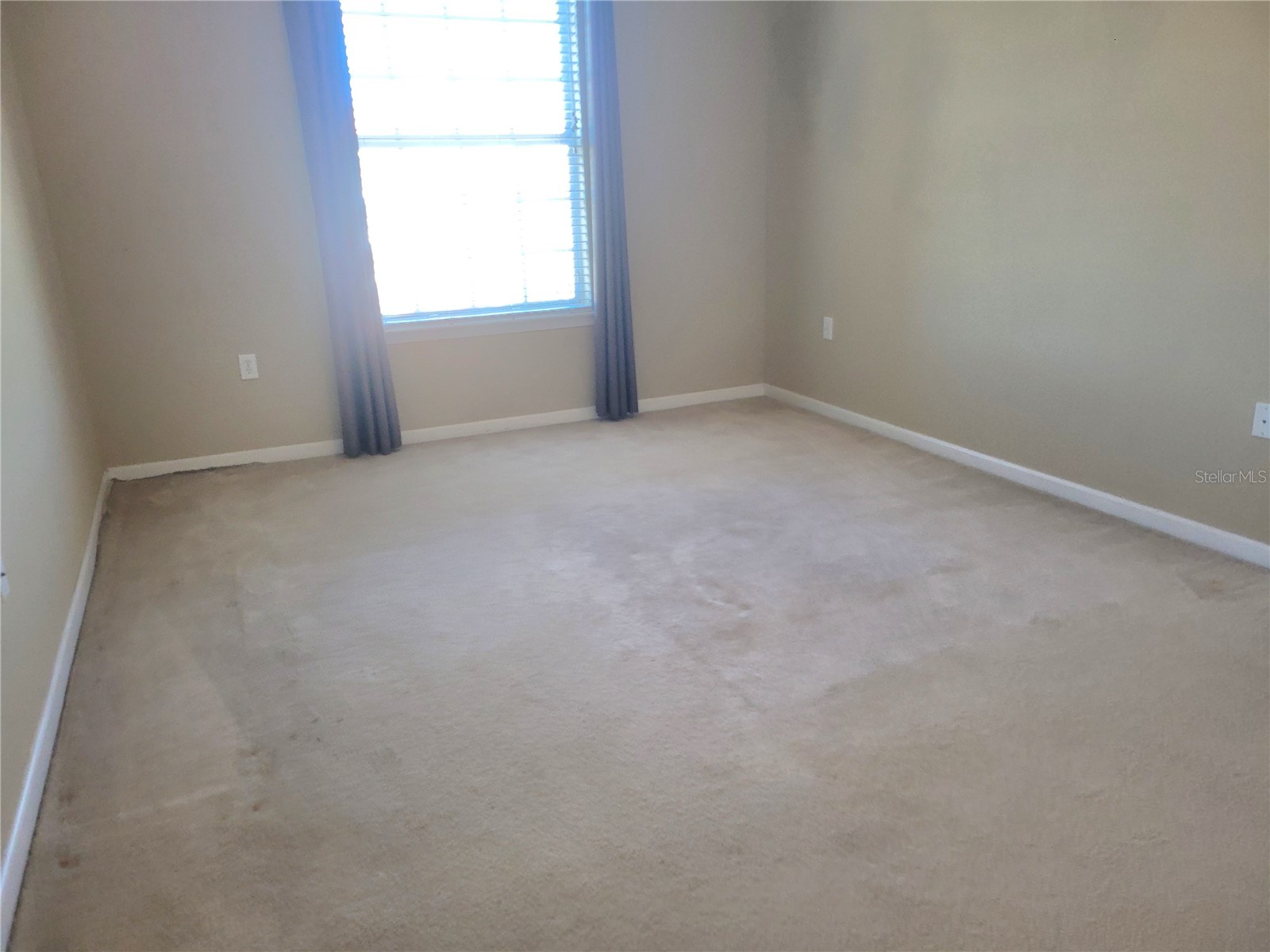 7905 N Seminole Boulevard #3404 Seminole FL 33772 TB8493002 image34