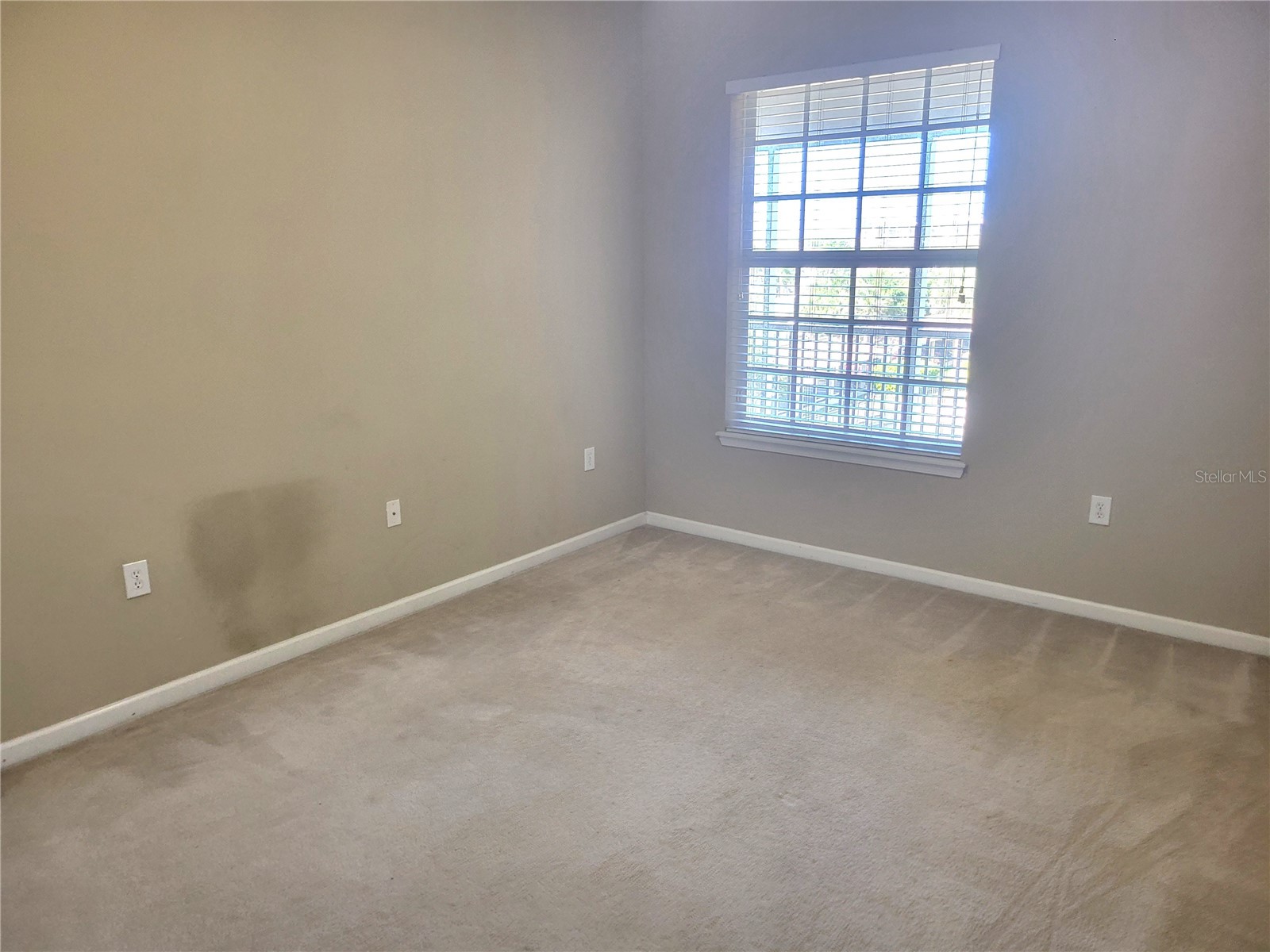 7905 N Seminole Boulevard #3404 Seminole FL 33772 TB8493002 image37