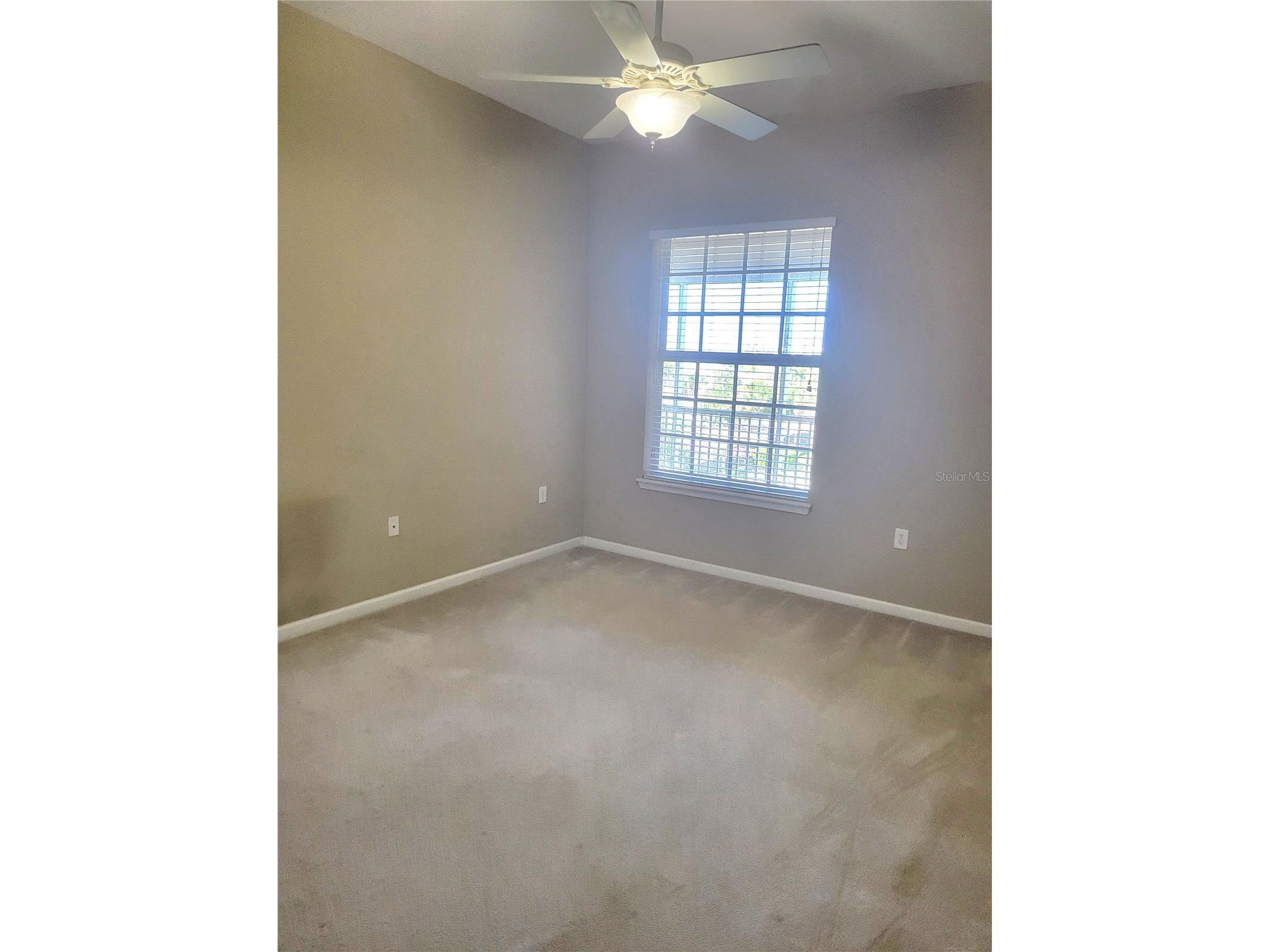 7905 N Seminole Boulevard #3404 Seminole FL 33772 TB8493002 image38