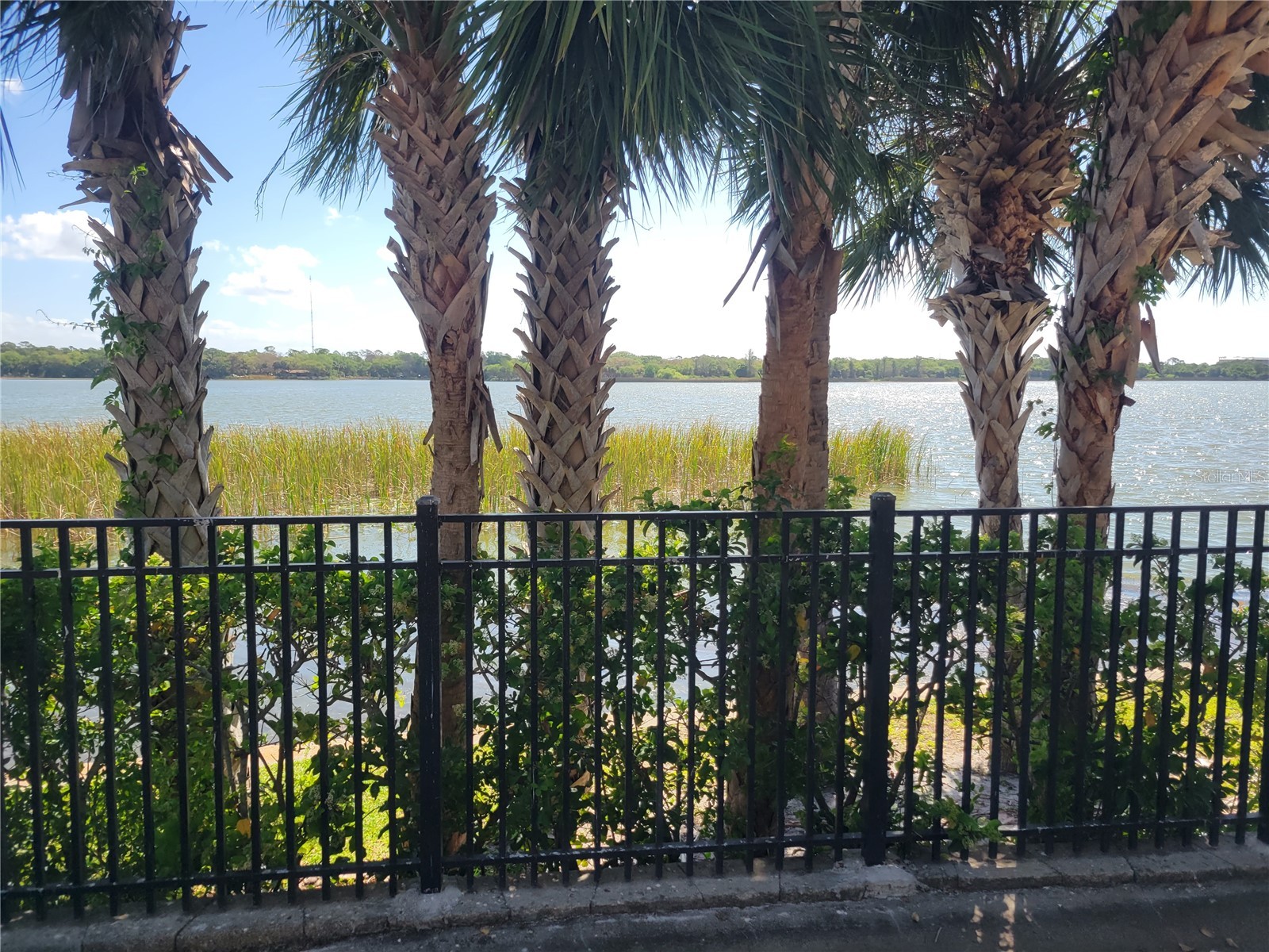 7905 N Seminole Boulevard #3404 Seminole FL 33772 TB8493002 image57