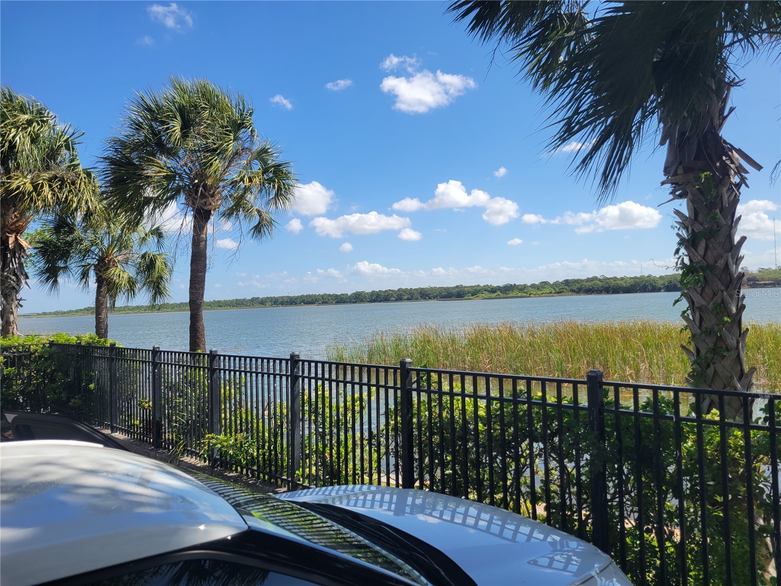 7905 N Seminole Boulevard #3404 Seminole FL 33772 TB8493002 image59