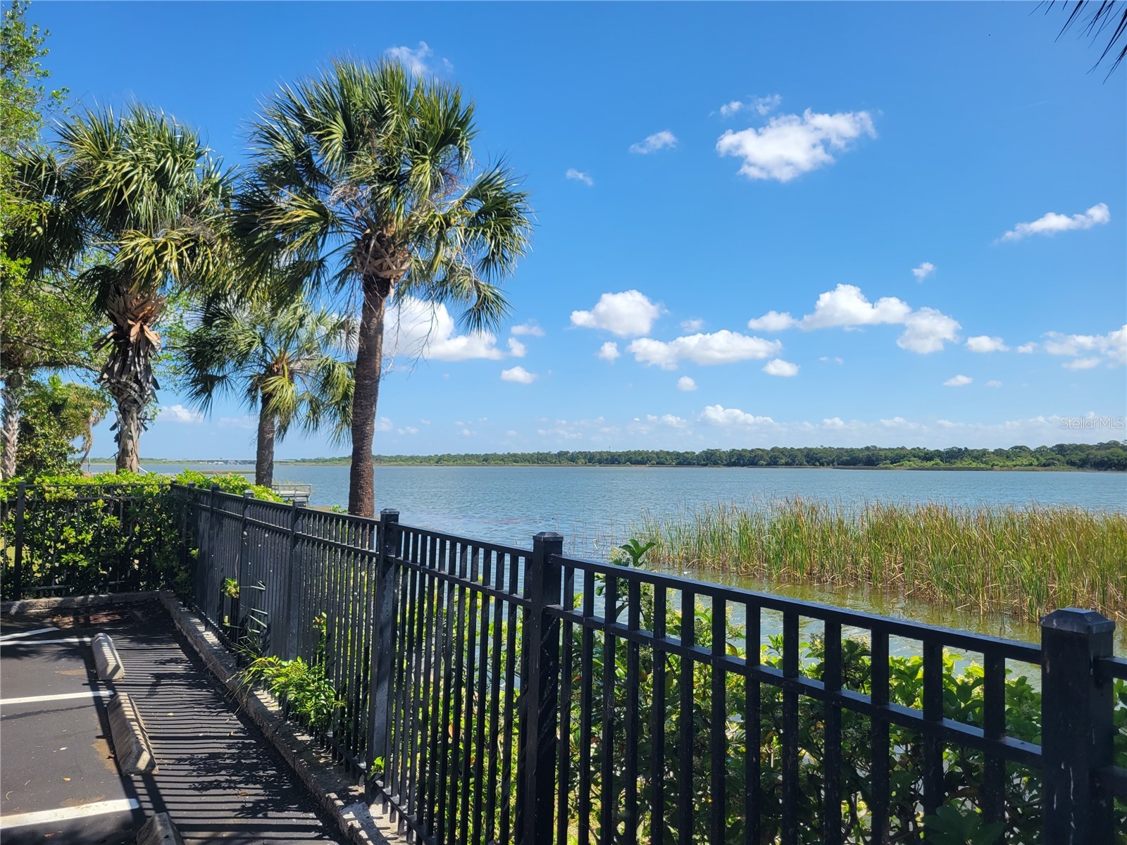 7905 N Seminole Boulevard #3404 Seminole FL 33772 TB8493002 image60