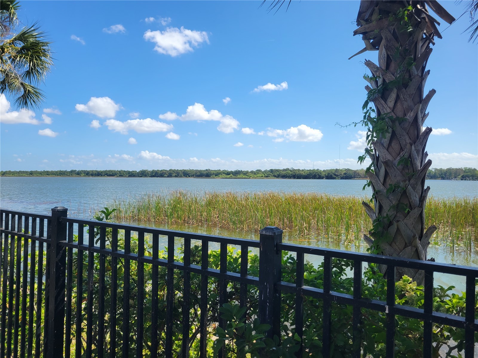 7905 N Seminole Boulevard #3404 Seminole FL 33772 TB8493002 image61