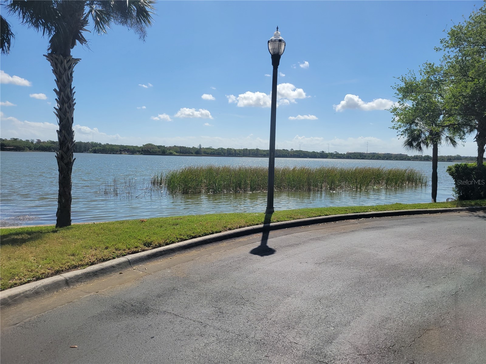 7905 N Seminole Boulevard #3404 Seminole FL 33772 TB8493002 image62