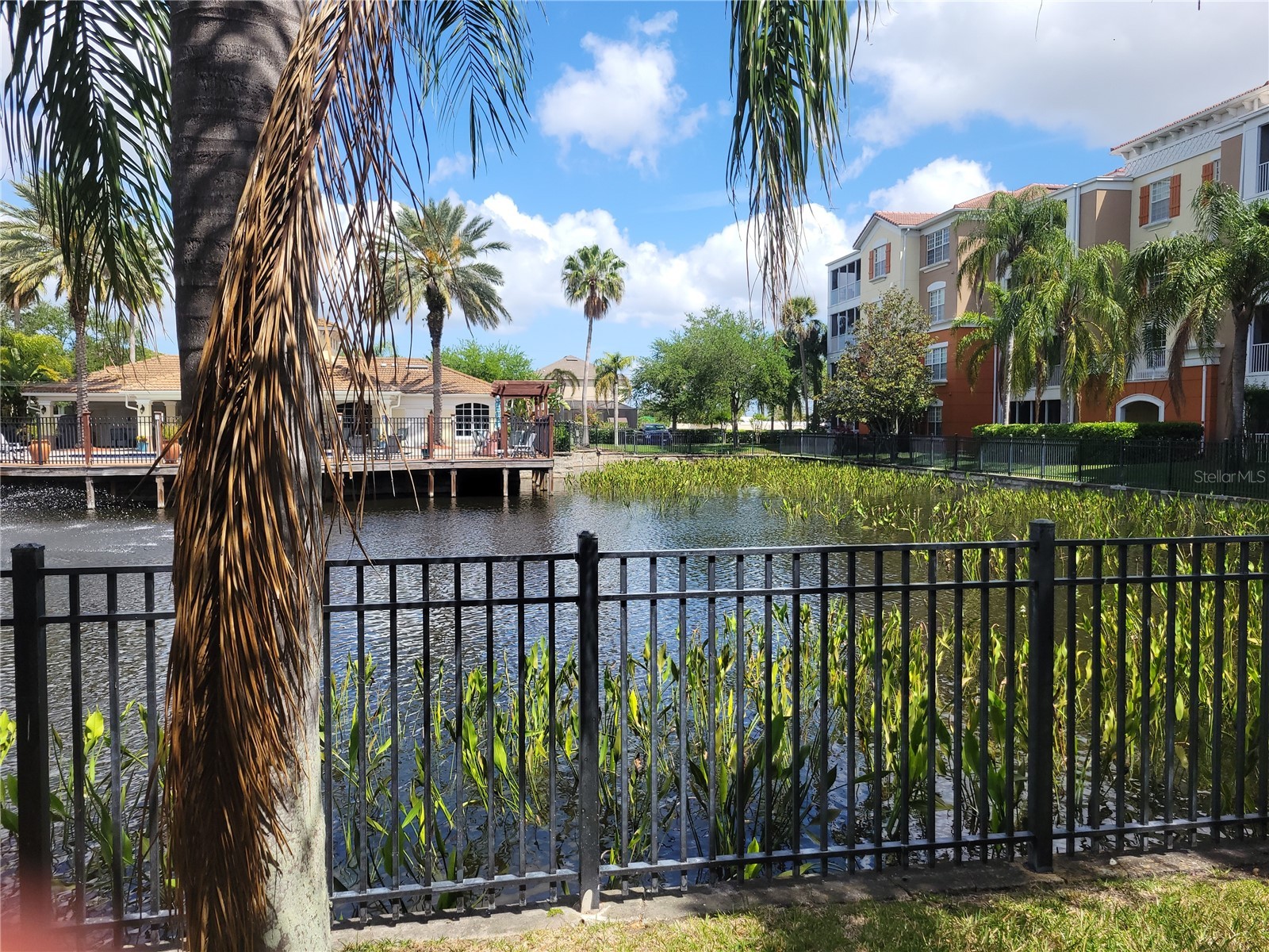 7905 N Seminole Boulevard #3404 Seminole FL 33772 TB8493002 image72