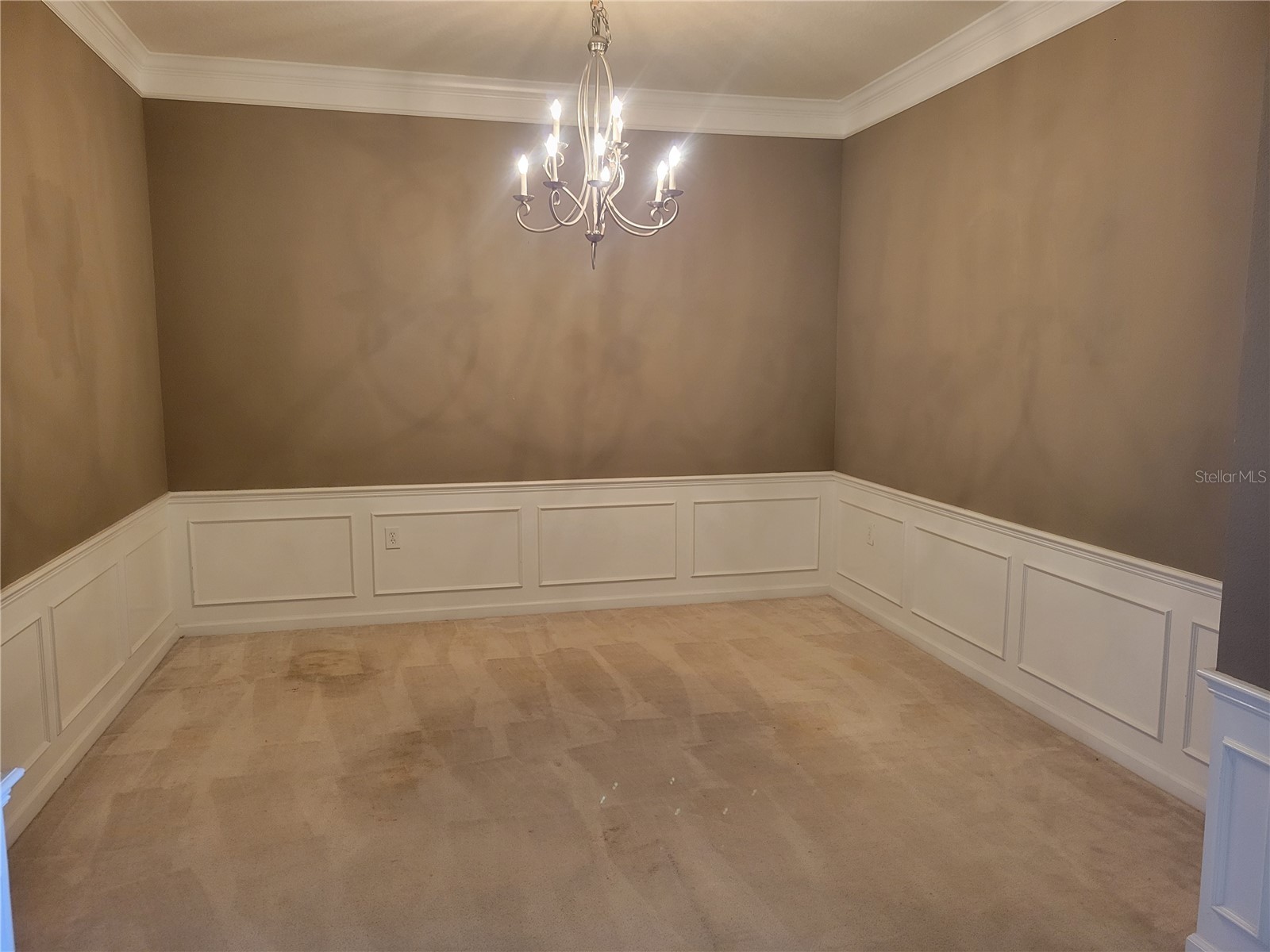 7905 N Seminole Boulevard #3404 Seminole FL 33772 TB8493002 image9