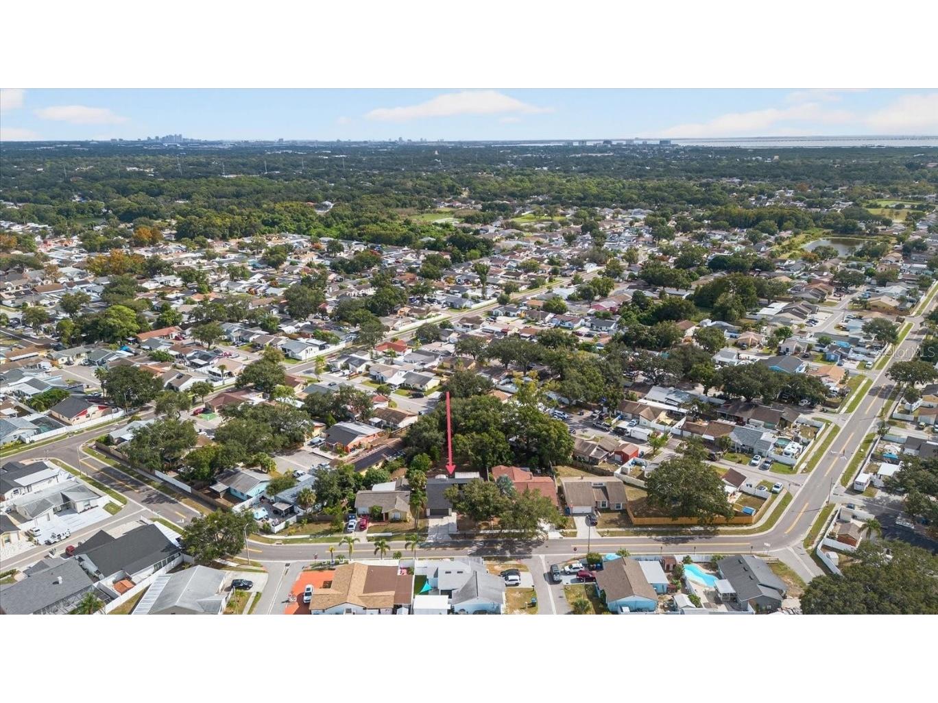 7905 Timberlane West Drive Tampa FL 33615 TB8443032 image46