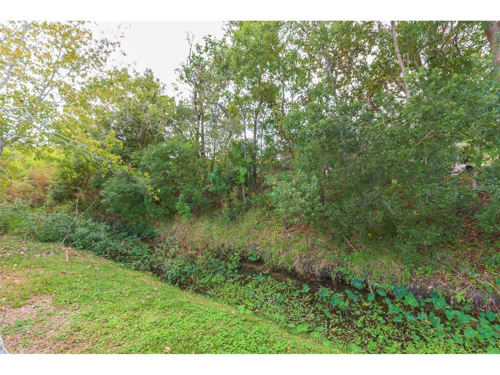 7906 Cherrytree Lane New Port Richey FL 34653 TB8460063 image20