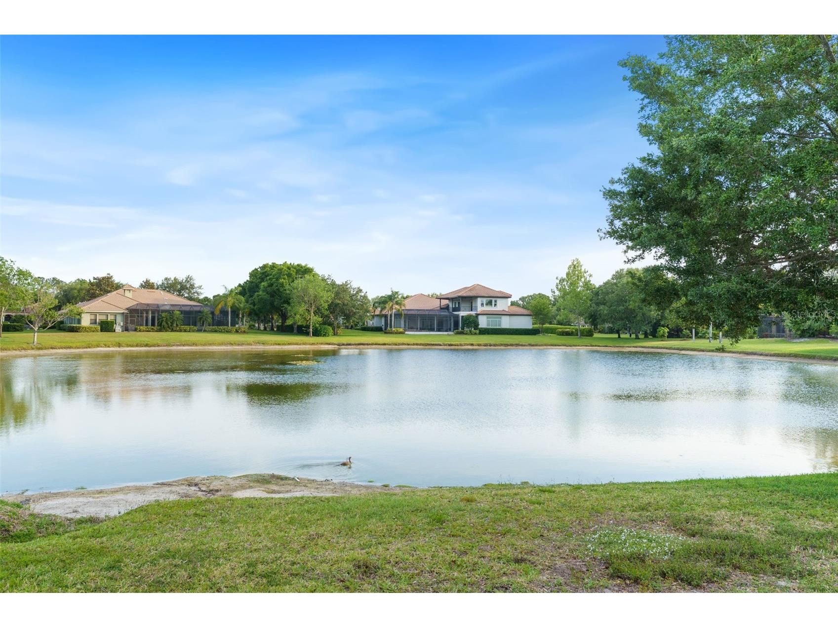 7906 Foxcatcher Court Odessa FL 33556 TB8500738 image84