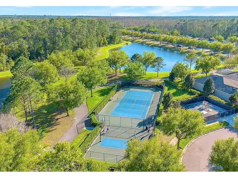 7906 Jailene Drive Windermere FL 34786 O6416776 image52