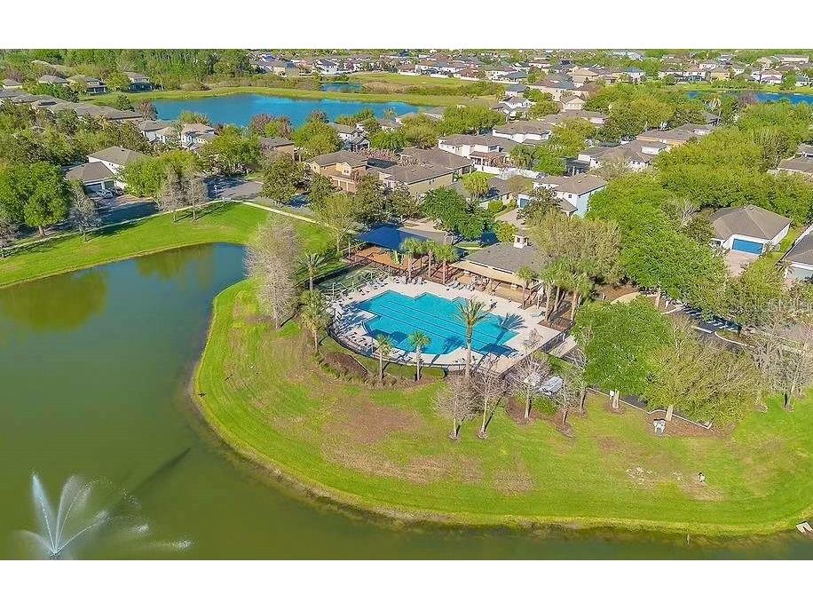 7906 Jailene Drive Windermere FL 34786 O6416776 image54