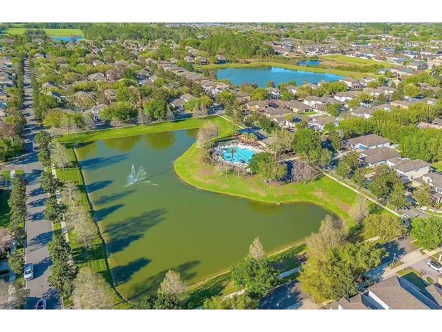 7906 Jailene Drive Windermere FL 34786 O6416776 image55