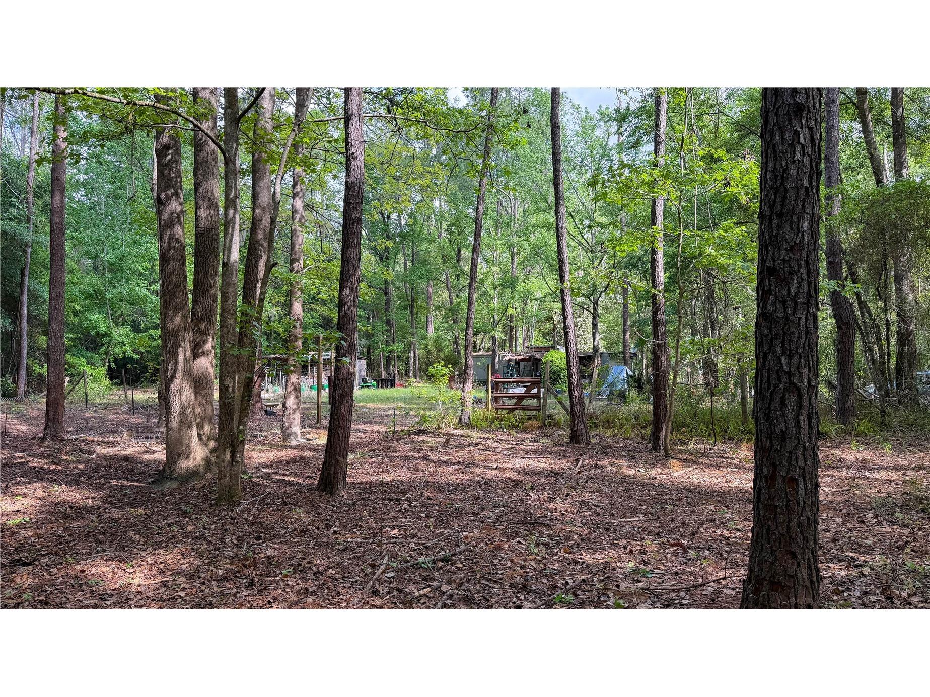7906 SW County Road 346 Archer FL 32618 GC535024 image14