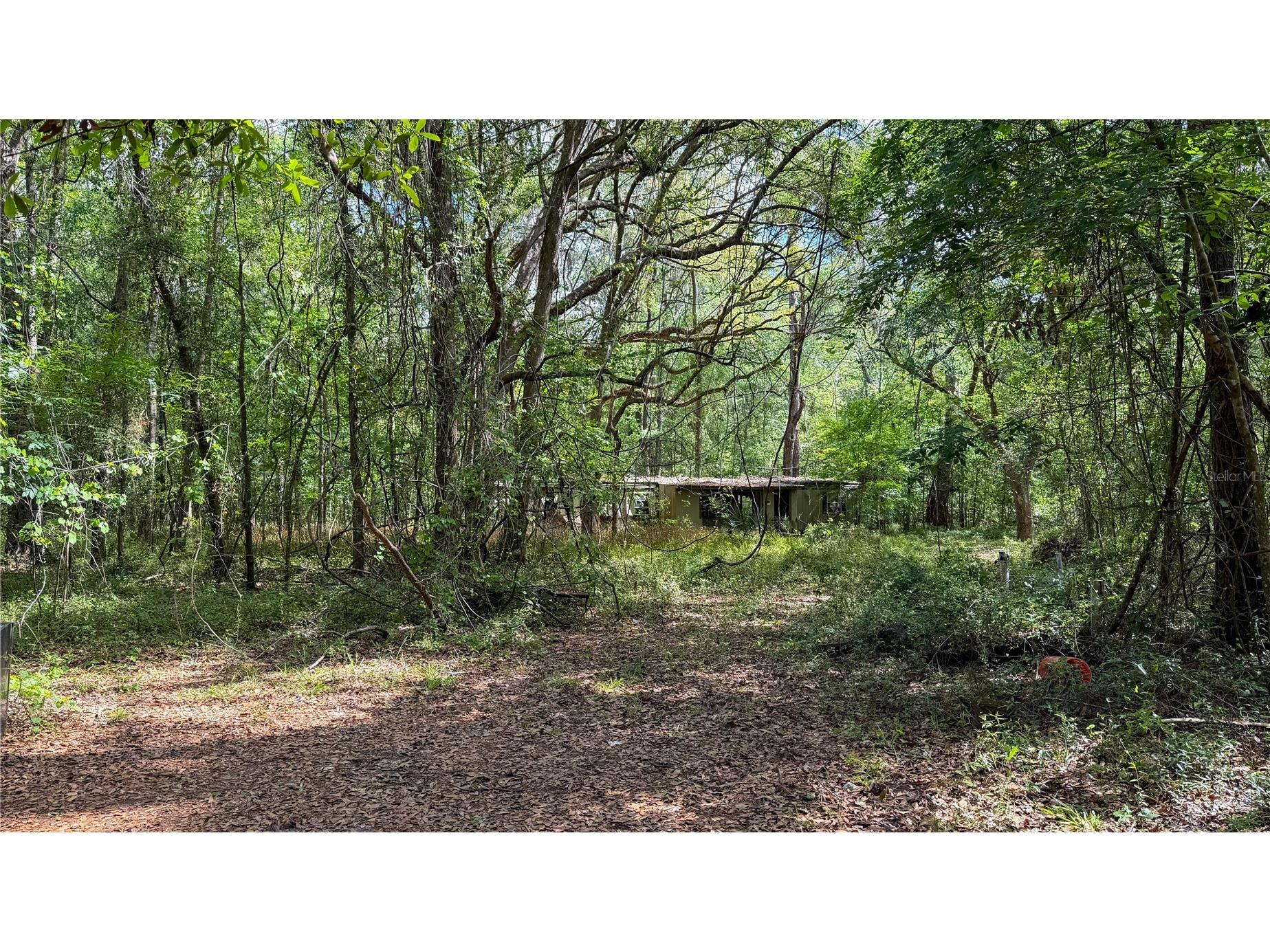 7906 SW County Road 346 Archer FL 32618 GC535024 image15