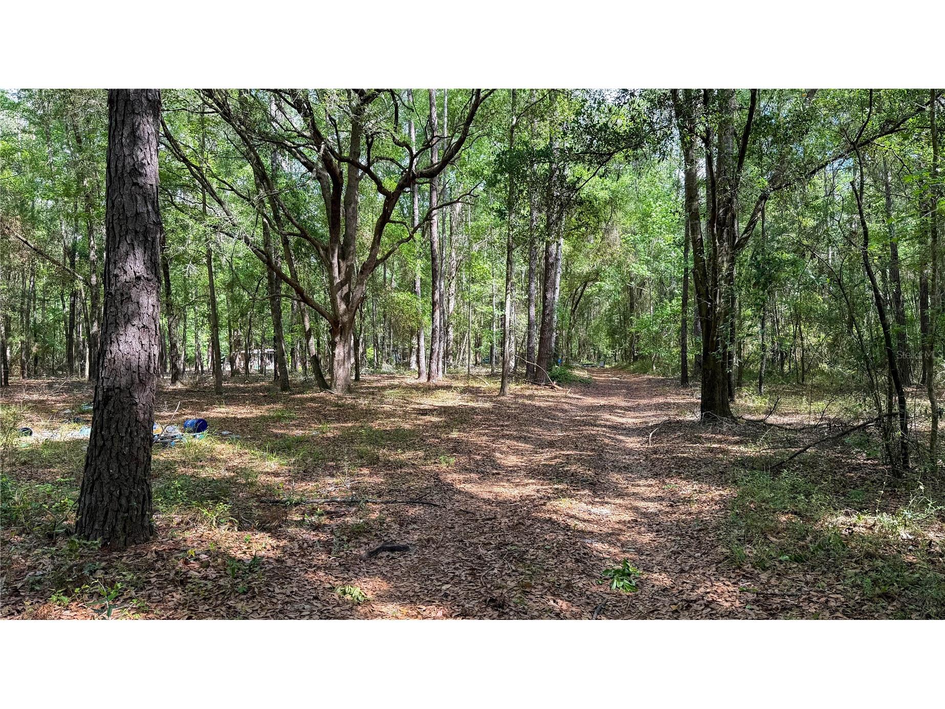 7906 SW County Road 346 Archer FL 32618 GC535024 image16