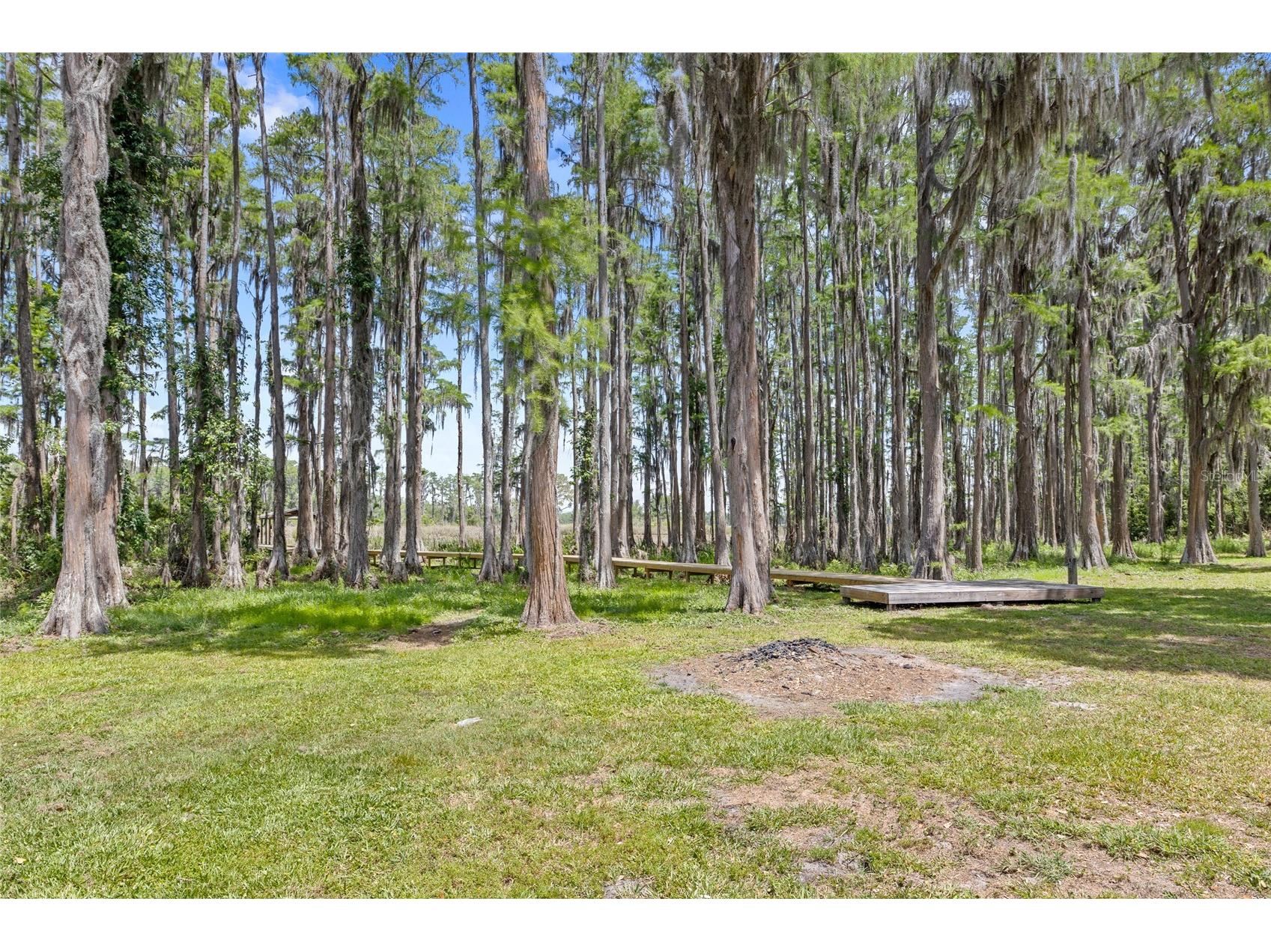 7907 Florida Boys Ranch Road Groveland FL 34736 O6400268 image51