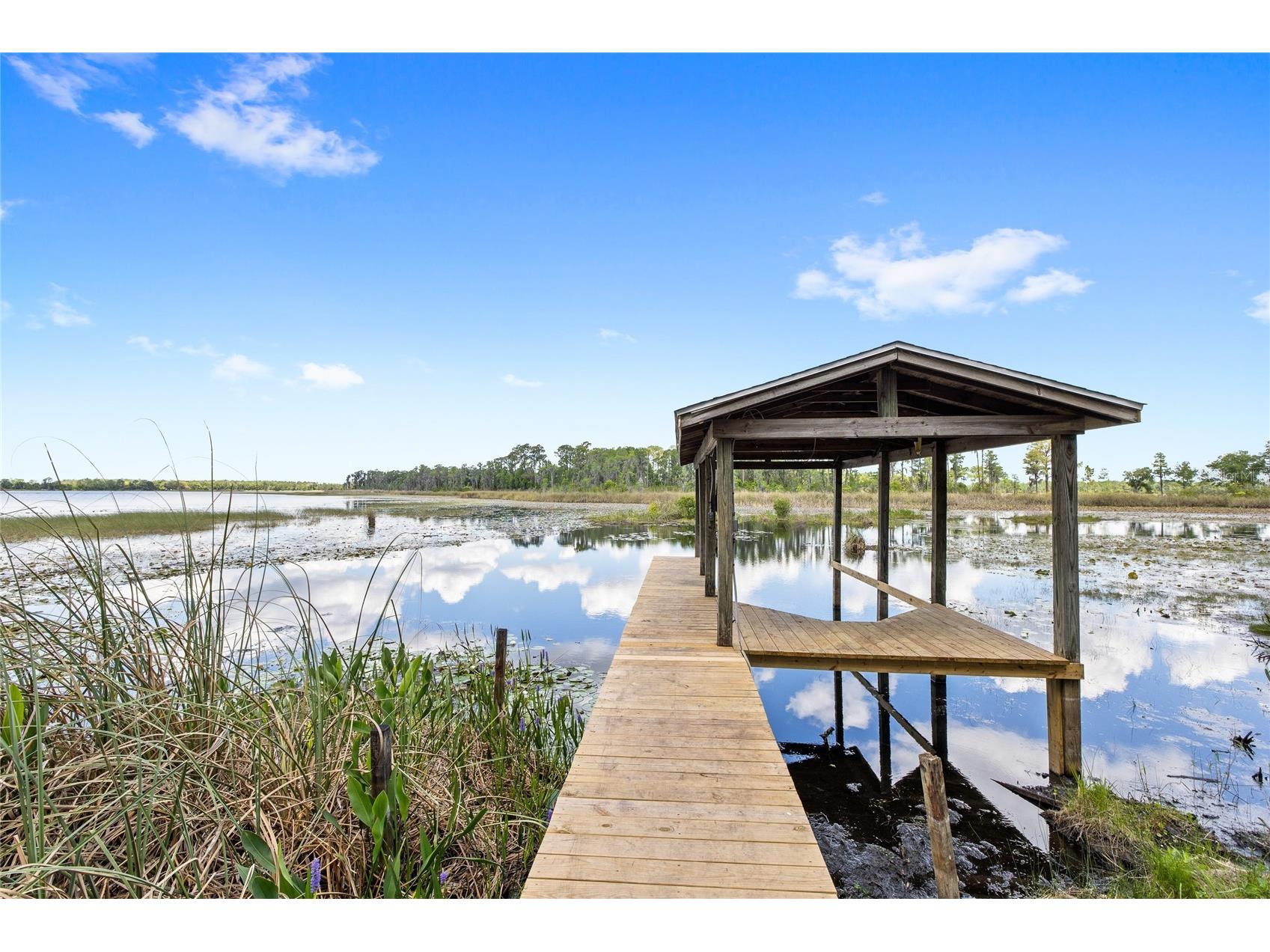 7907 Florida Boys Ranch Road Groveland FL 34736 O6400268 image54