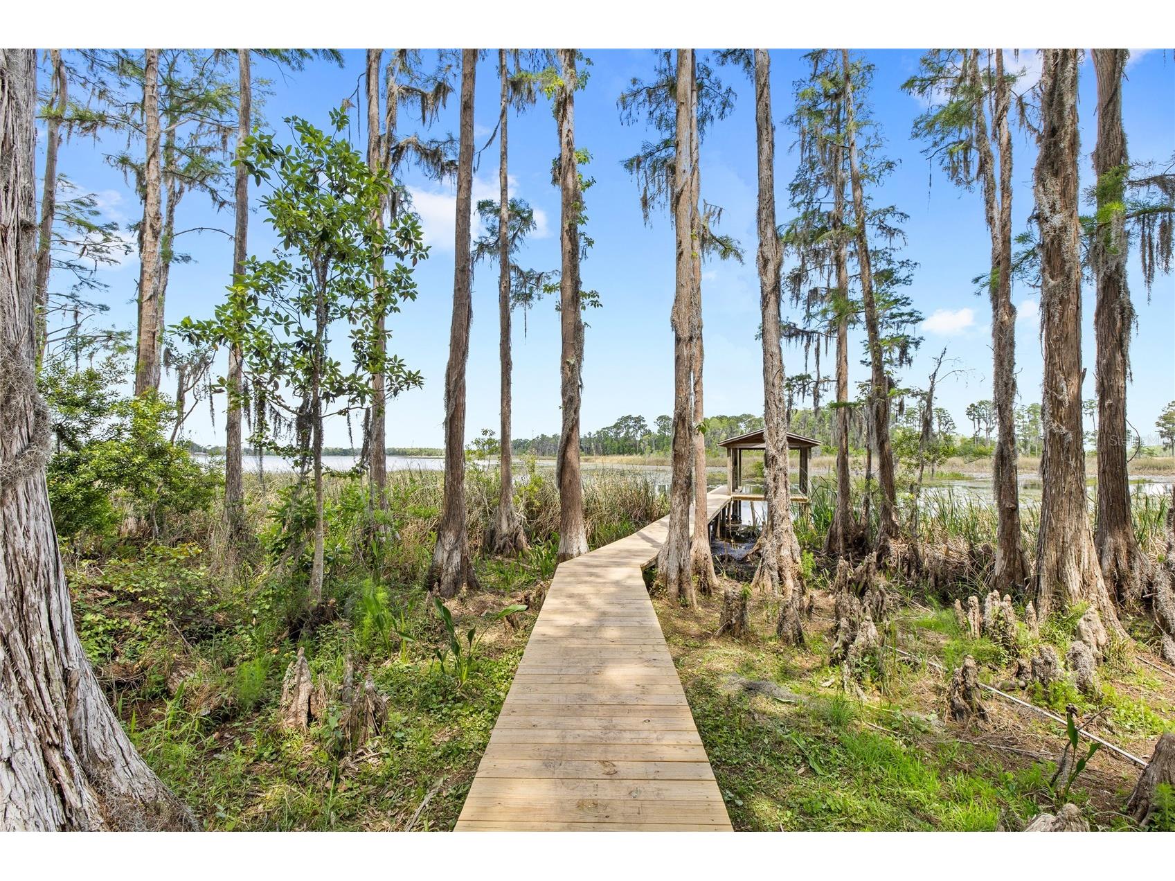 7907 Florida Boys Ranch Road Groveland FL 34736 O6400268 image55