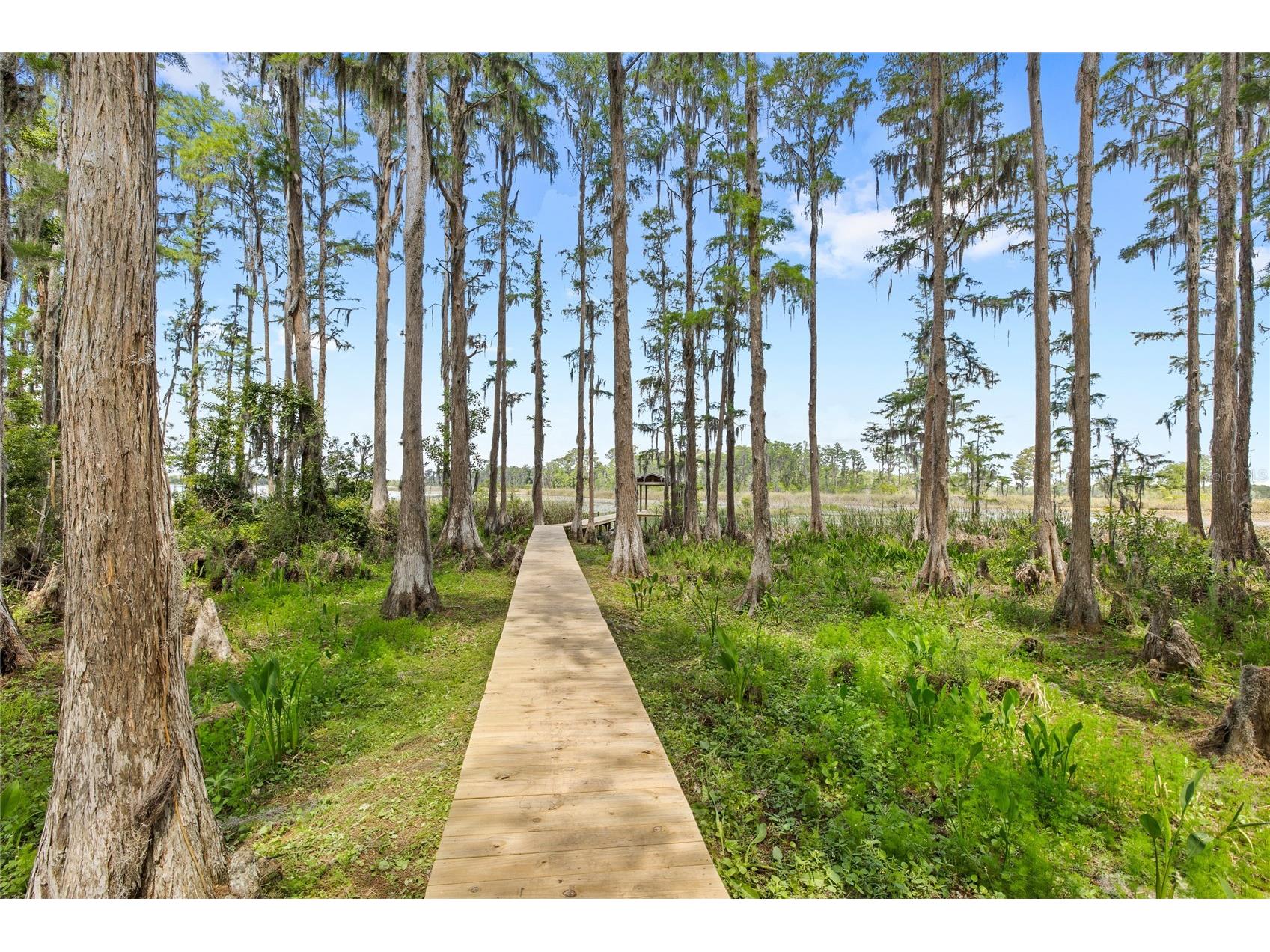 7907 Florida Boys Ranch Road Groveland FL 34736 O6400268 image56