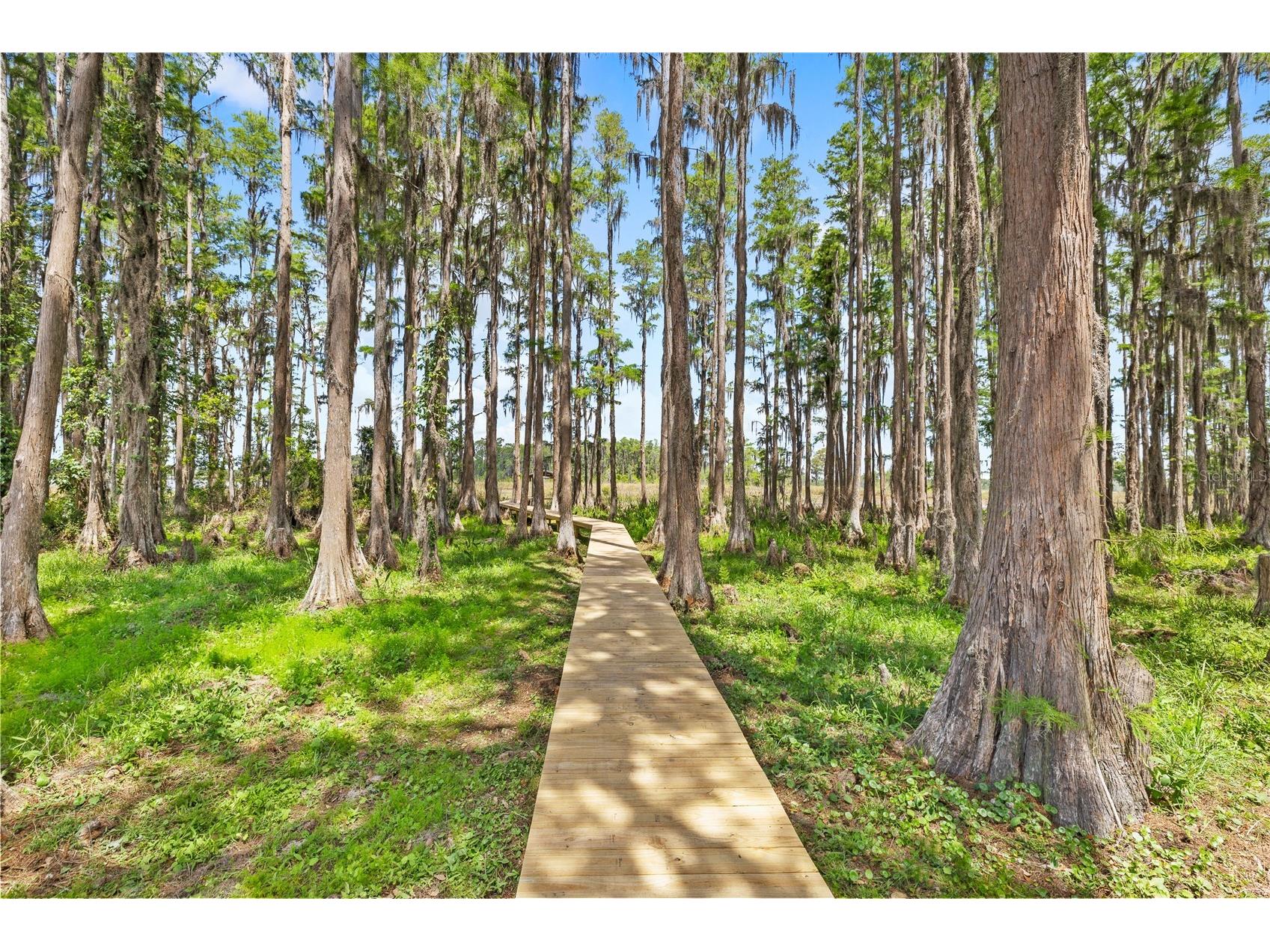 7907 Florida Boys Ranch Road Groveland FL 34736 O6400268 image57