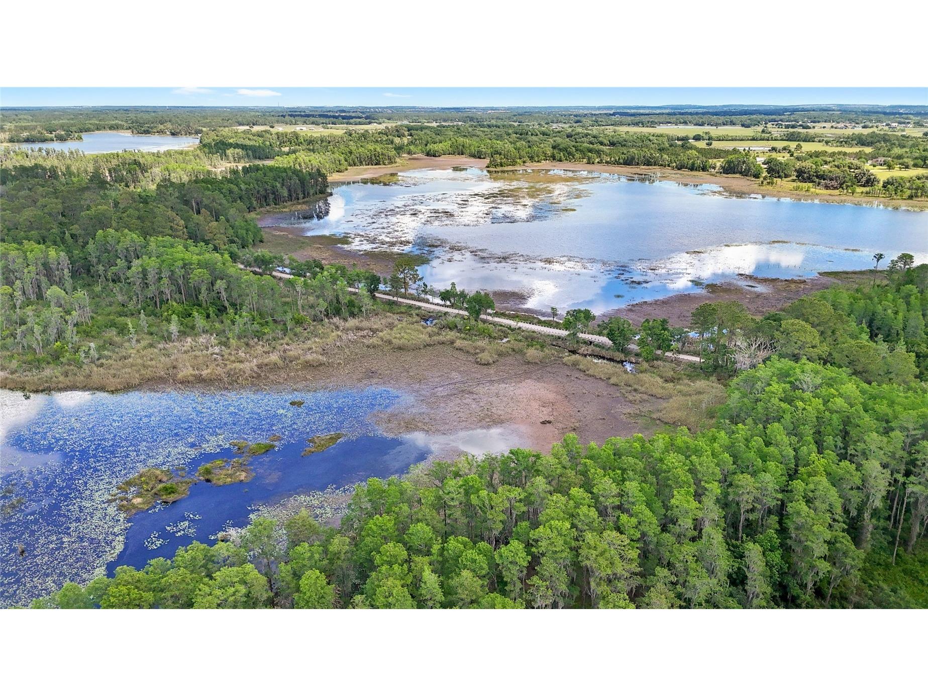 7907 Florida Boys Ranch Road Groveland FL 34736 O6400268 image74