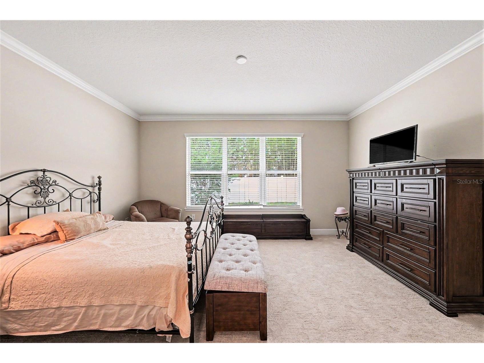 7907 Silver Clover Court Riverview FL 33578 A4693322 image8
