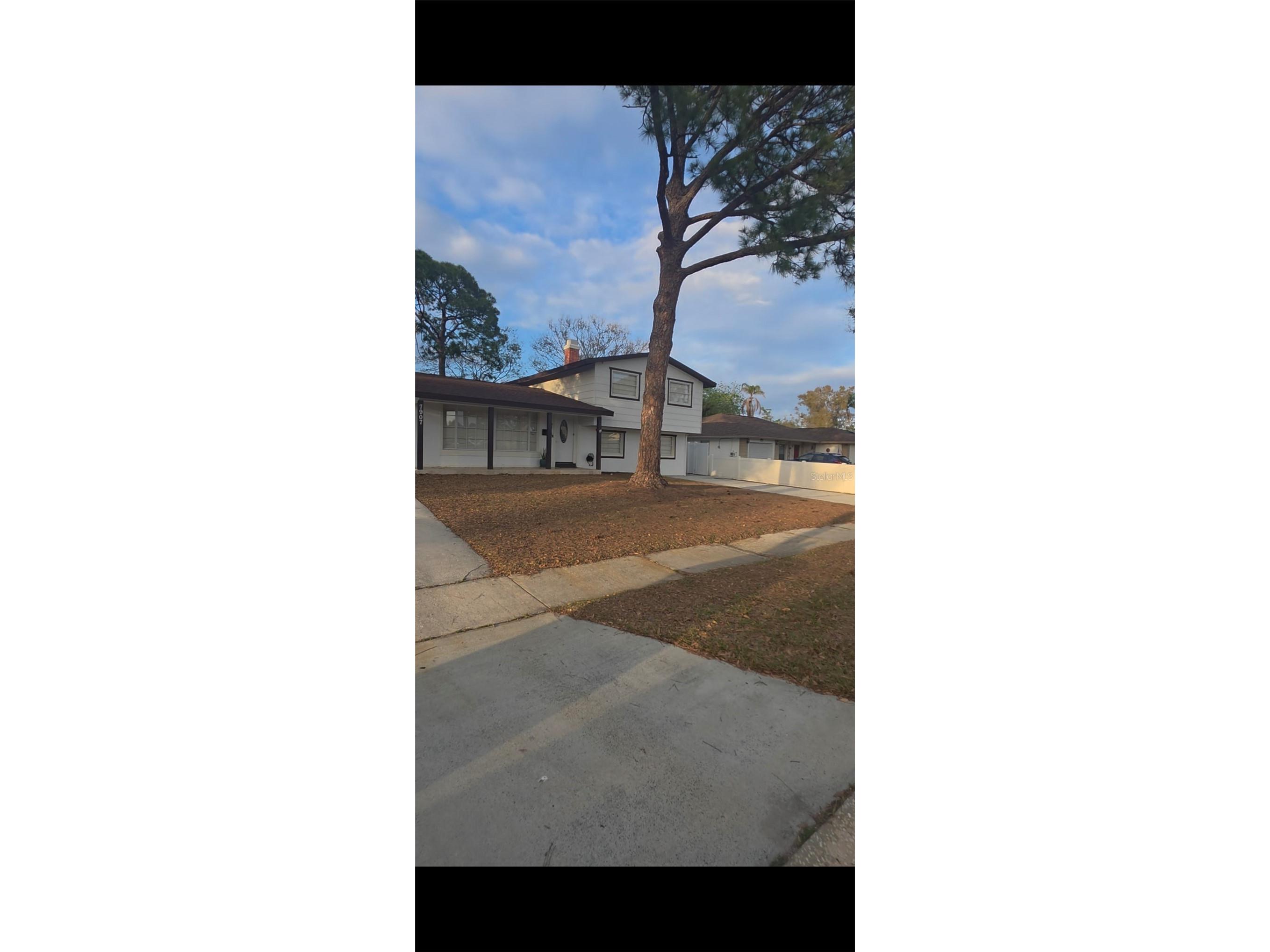 7907 W Hiawatha Street Tampa FL 33615 TB8483616 image3