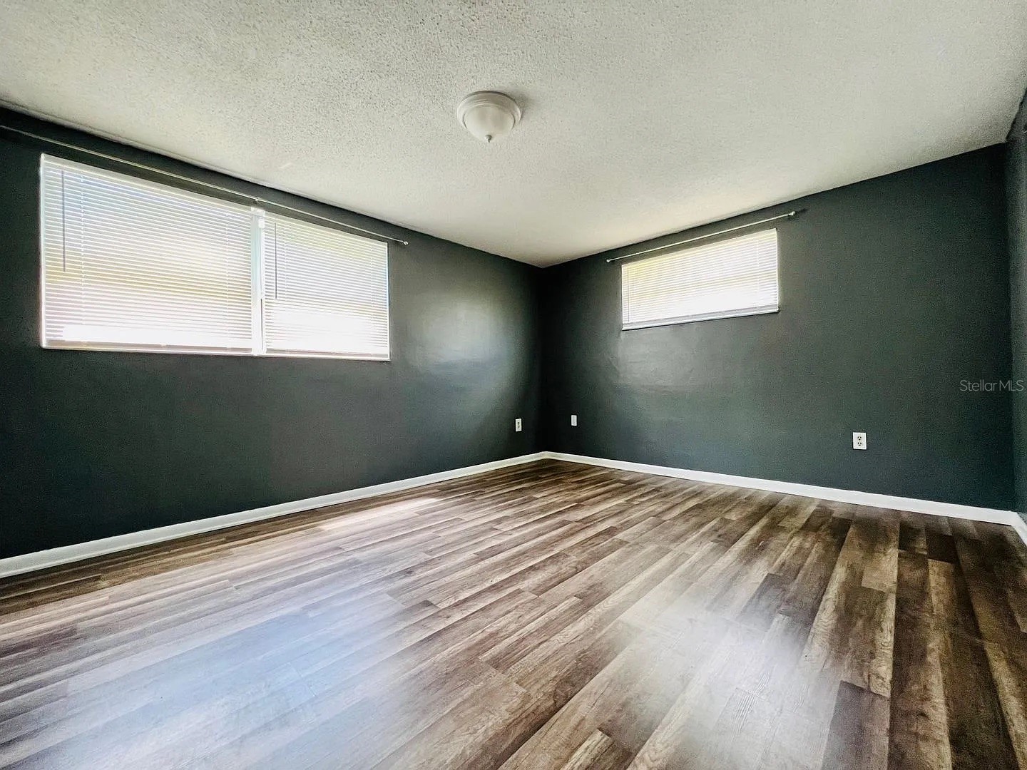 7907 Yucca Drive New Port Richey FL 34653 TB8501945 image10
