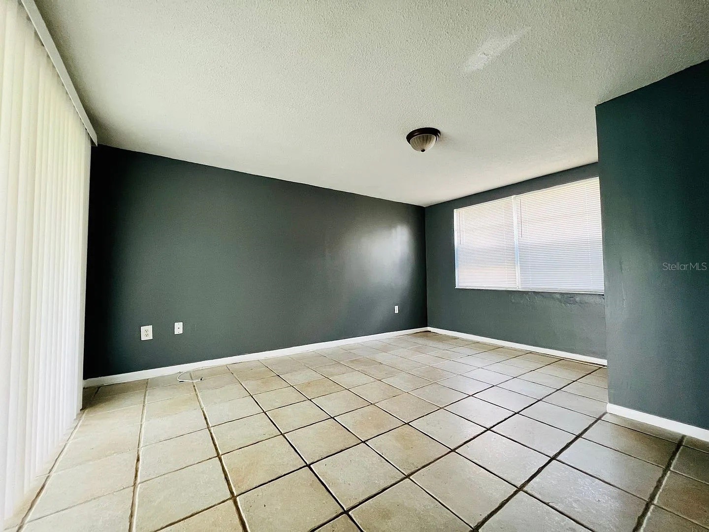7907 Yucca Drive New Port Richey FL 34653 TB8501945 image2