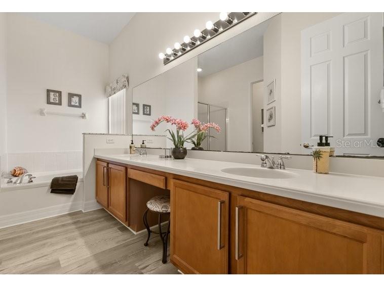 7908 Emperors Orchid Court Kissimmee FL 34747 S5145252 image17