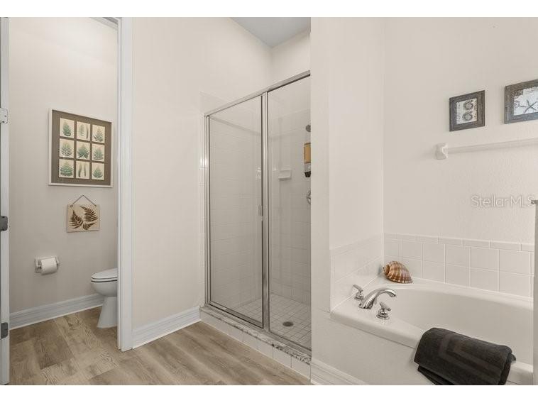 7908 Emperors Orchid Court Kissimmee FL 34747 S5145252 image19