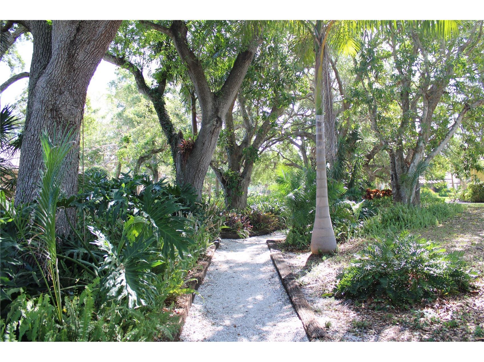 7909 4th Avenue W #12 Bradenton FL 34209 A4691147 image42