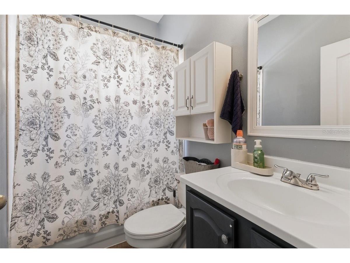 7909 Fernleaf Drive Orlando FL 32836 V4947567 image32