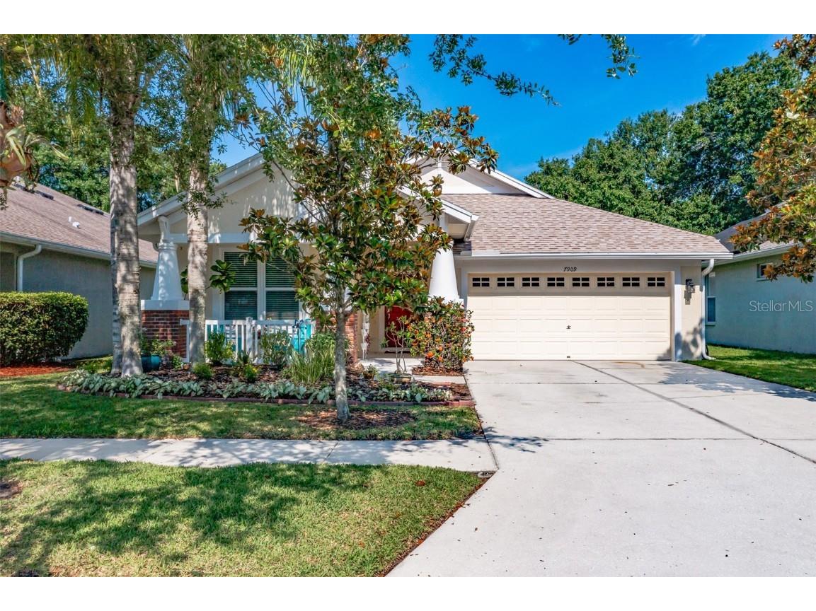 7909 Grasmere Drive Land O Lakes FL 34637 T3447570 image1
