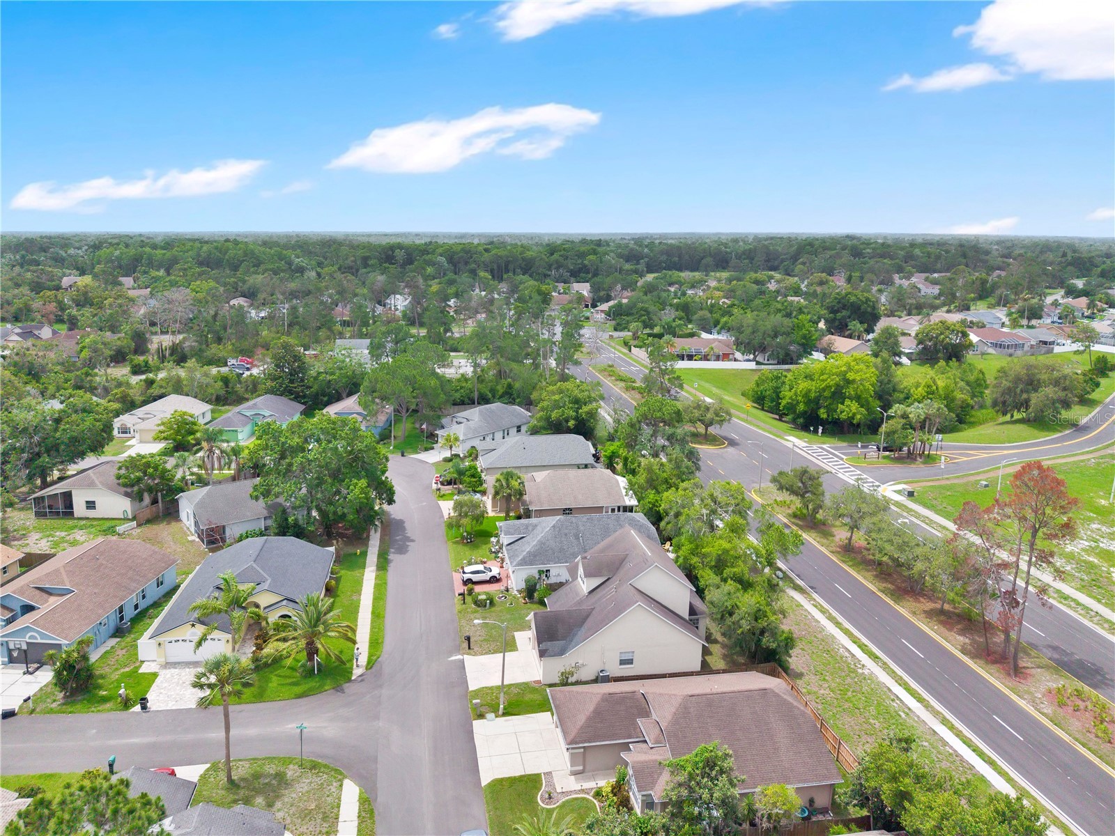 7909 Hathaway Drive New Port Richey FL 34654 O6409455 image33