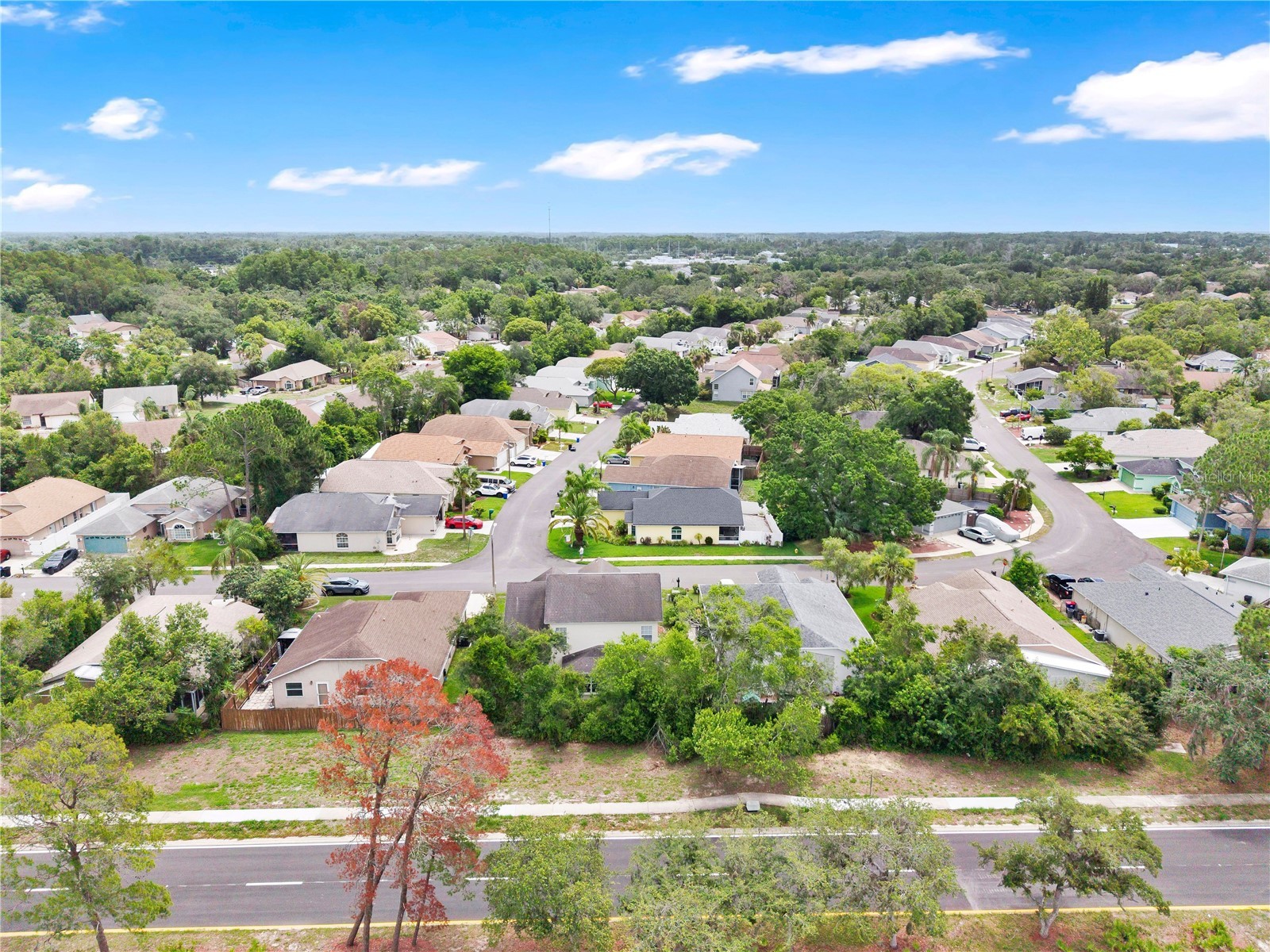 7909 Hathaway Drive New Port Richey FL 34654 O6409455 image35