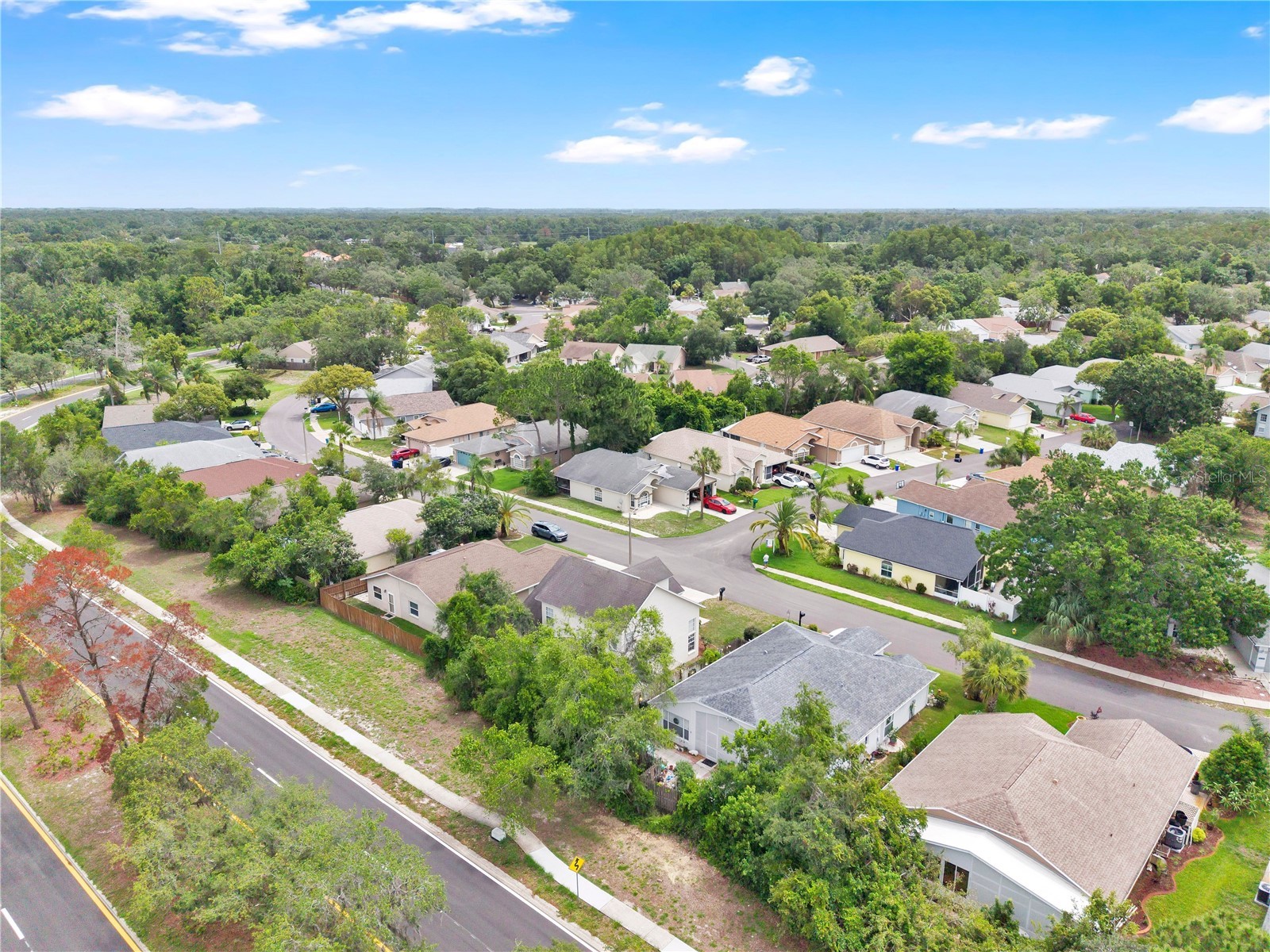 7909 Hathaway Drive New Port Richey FL 34654 O6409455 image36