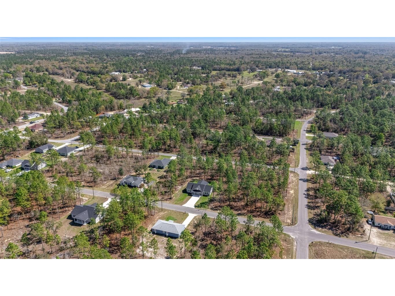 791 NE 150th Avenue Williston FL 32696 OM710981 image47