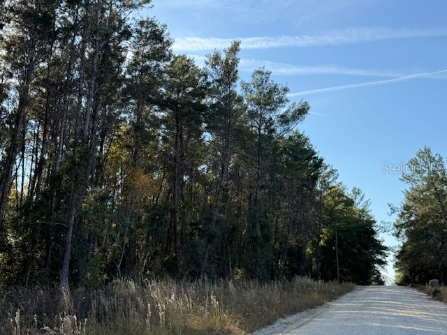 791 SE 142 Avenue Williston FL 32696 S5140502 image10