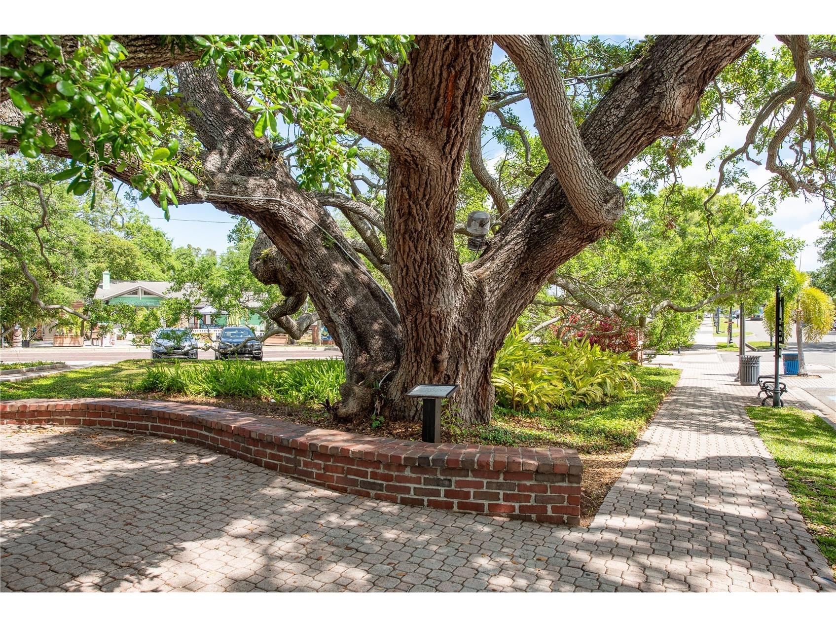 791 Weathersfield Drive Dunedin FL 34698 TB8498180 image53