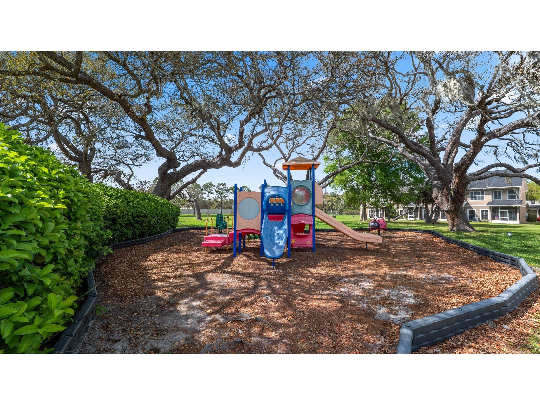 7910 Bally Money Road Tampa FL 33610 L4960322 image41