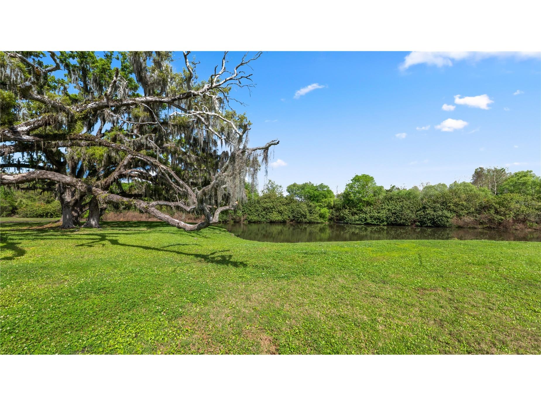 7910 Bally Money Road Tampa FL 33610 L4960322 image42