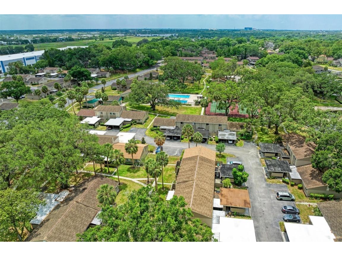 7910 Cedar Drive Temple Terrace FL 33637 U8201391 image1