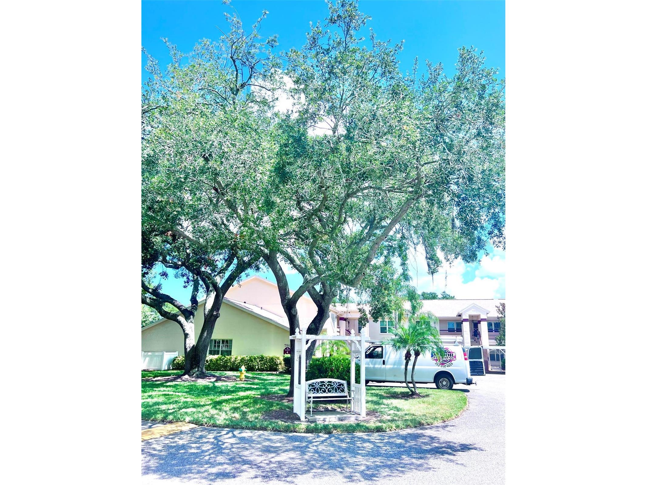 7910 Hardwick Drive #713 New Port Richey FL 34653 TB8504457 image35