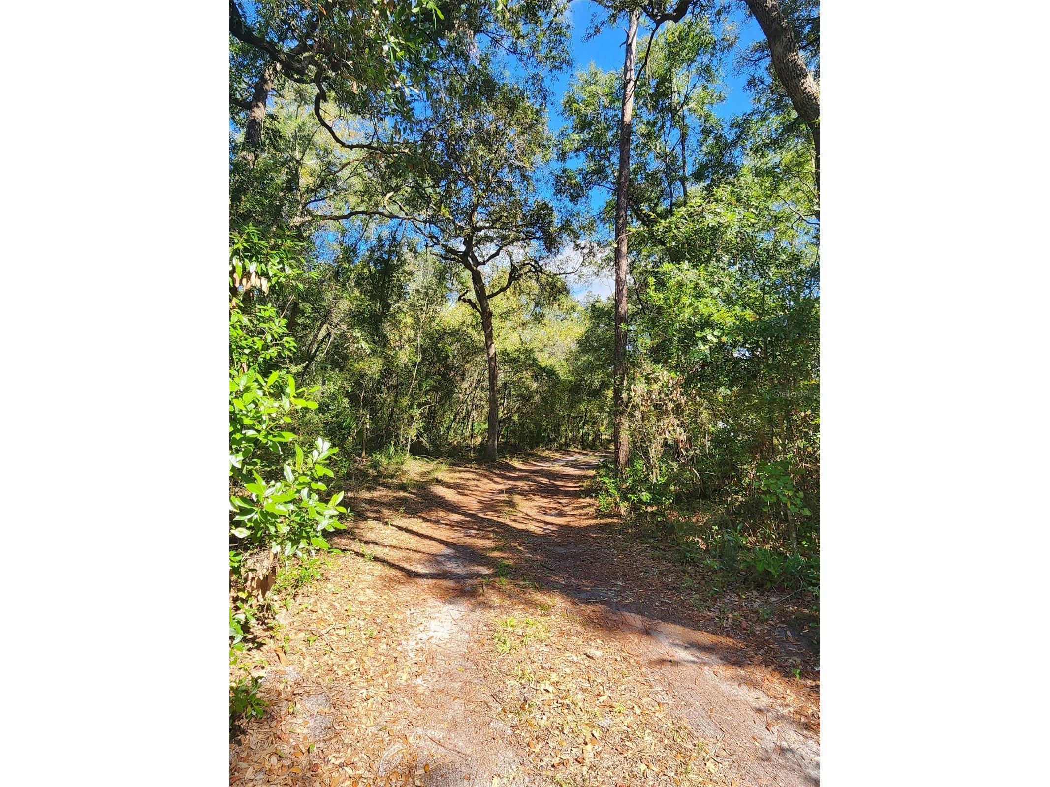7910 NW 141st Street Trenton FL 32693 R4911050 image13