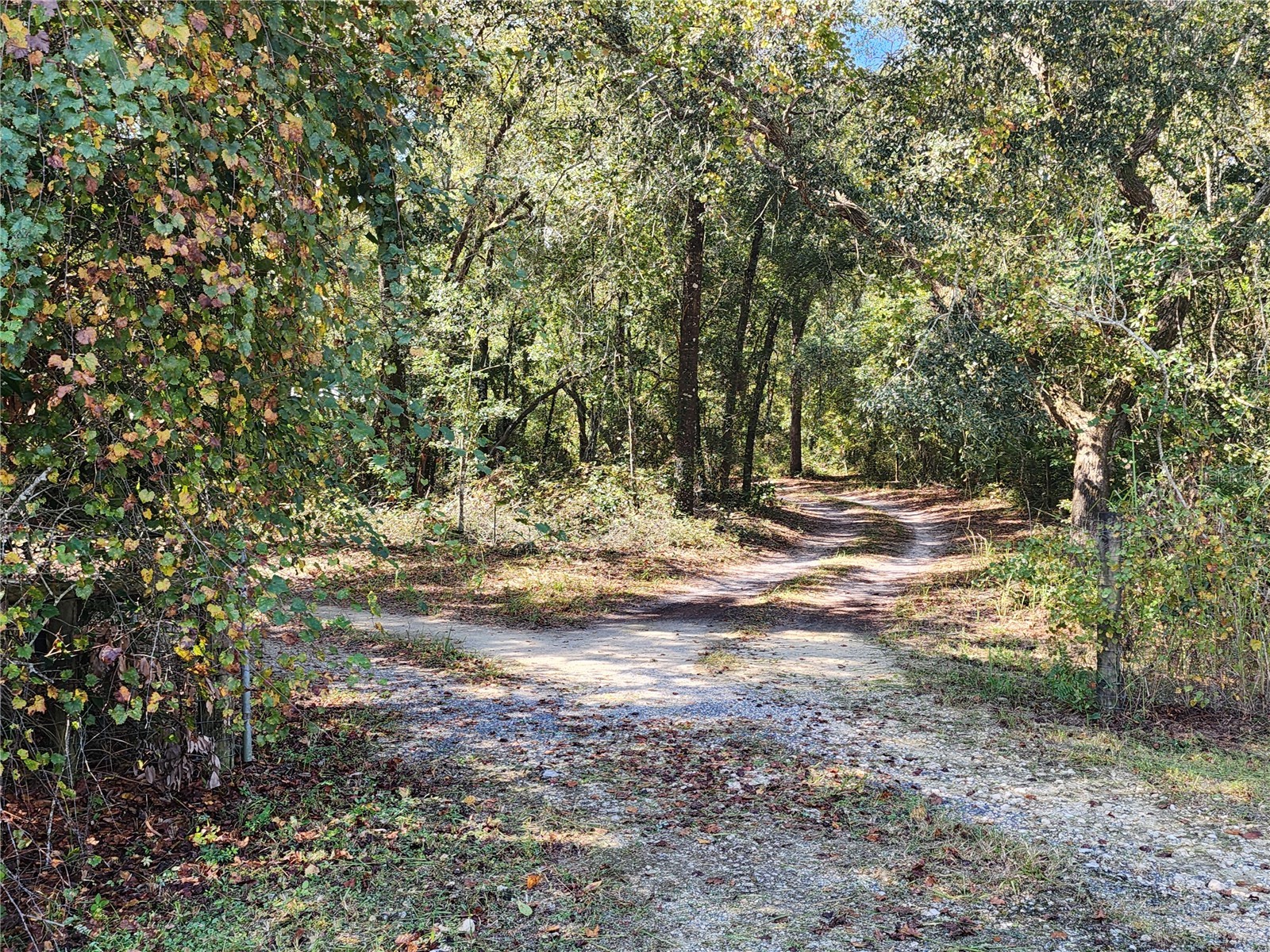 7910 NW 141st Street Trenton FL 32693 R4911050 image15