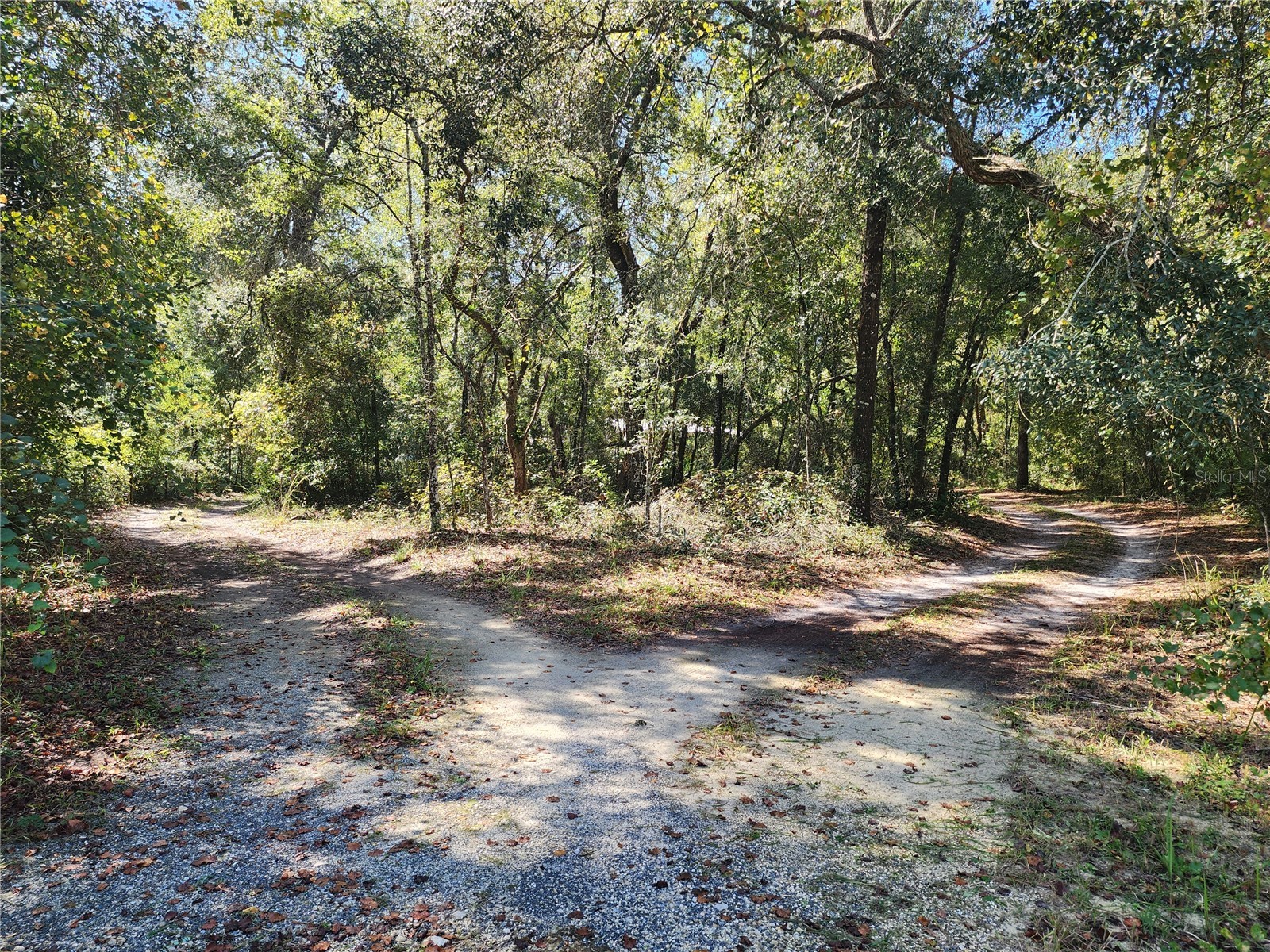 7910 NW 141st Street Trenton FL 32693 R4911050 image16