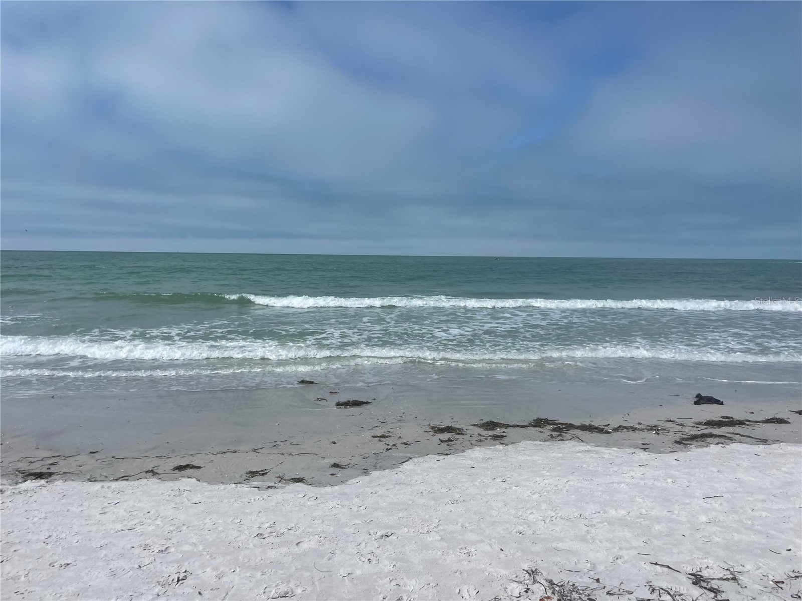 7910 Sun Island Drive S #203 South Pasadena FL 33707 - BOCA CIEGA TB8463883 image11