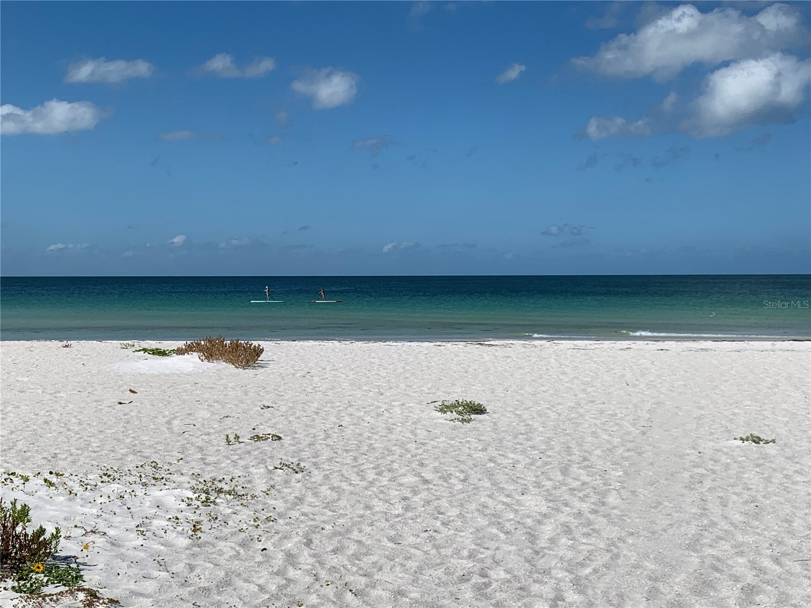 7910 Sun Island Drive S #203 South Pasadena FL 33707 - BOCA CIEGA TB8463883 image16